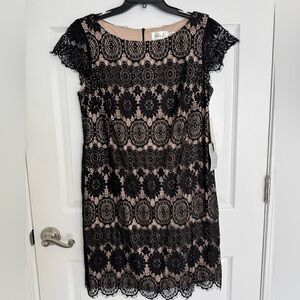 NWT Eliza J elegant women’s tan W/black lace overlay short sleeve dress, 14P